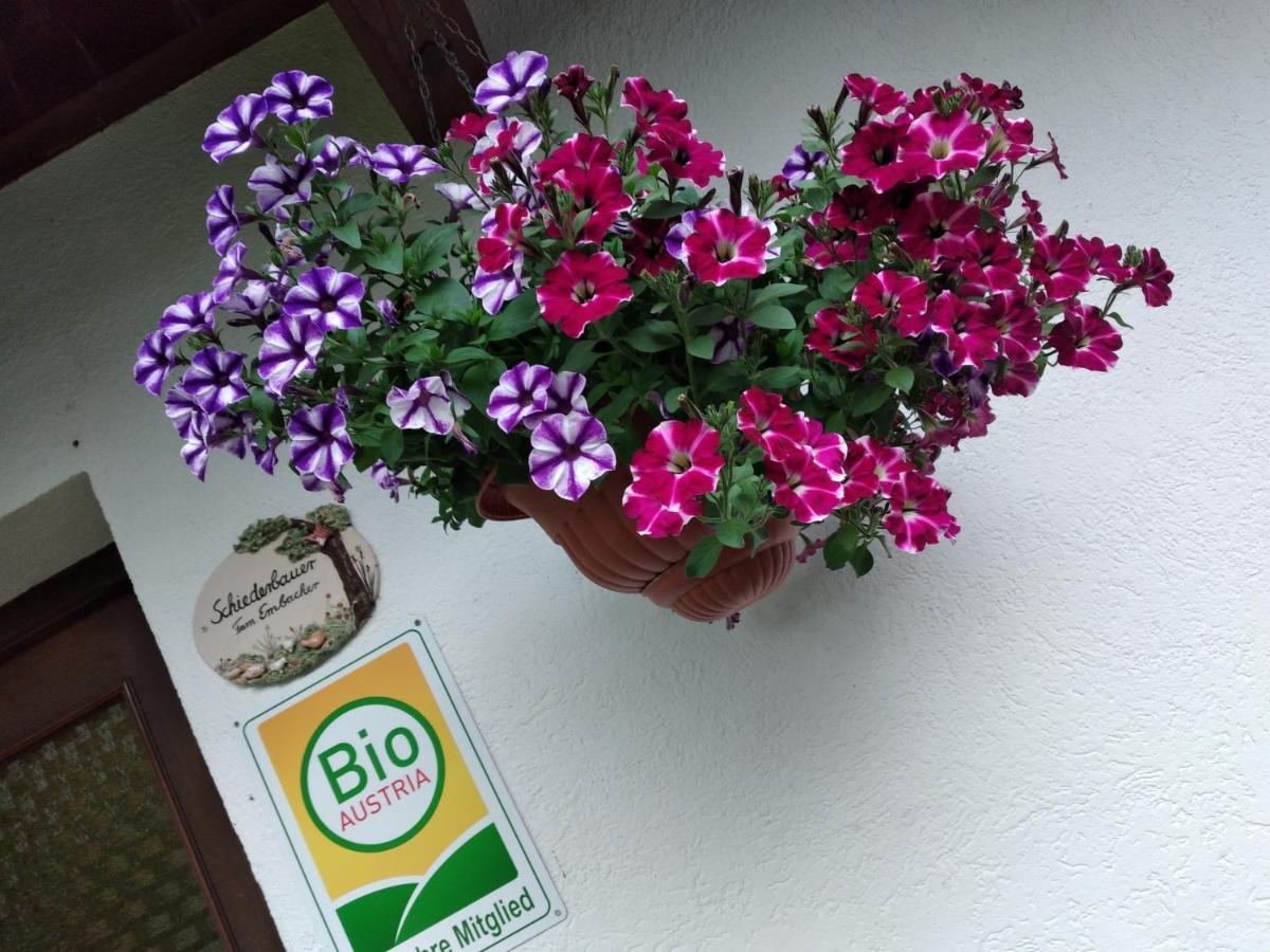 Bio-Bauernhof Schiederhof Apartment Fusch an der Grossglocknerstrasse ภายนอก รูปภาพ